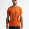 Clearance Sun Valley Crawley Safran